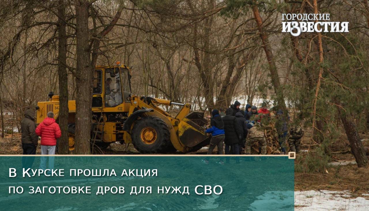 В Курске прошла акция по заготовке дров для нужд СВО