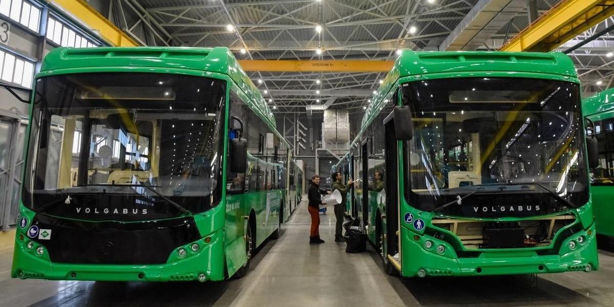 Карта жителя Курской области: с 1 января – в автобусах 