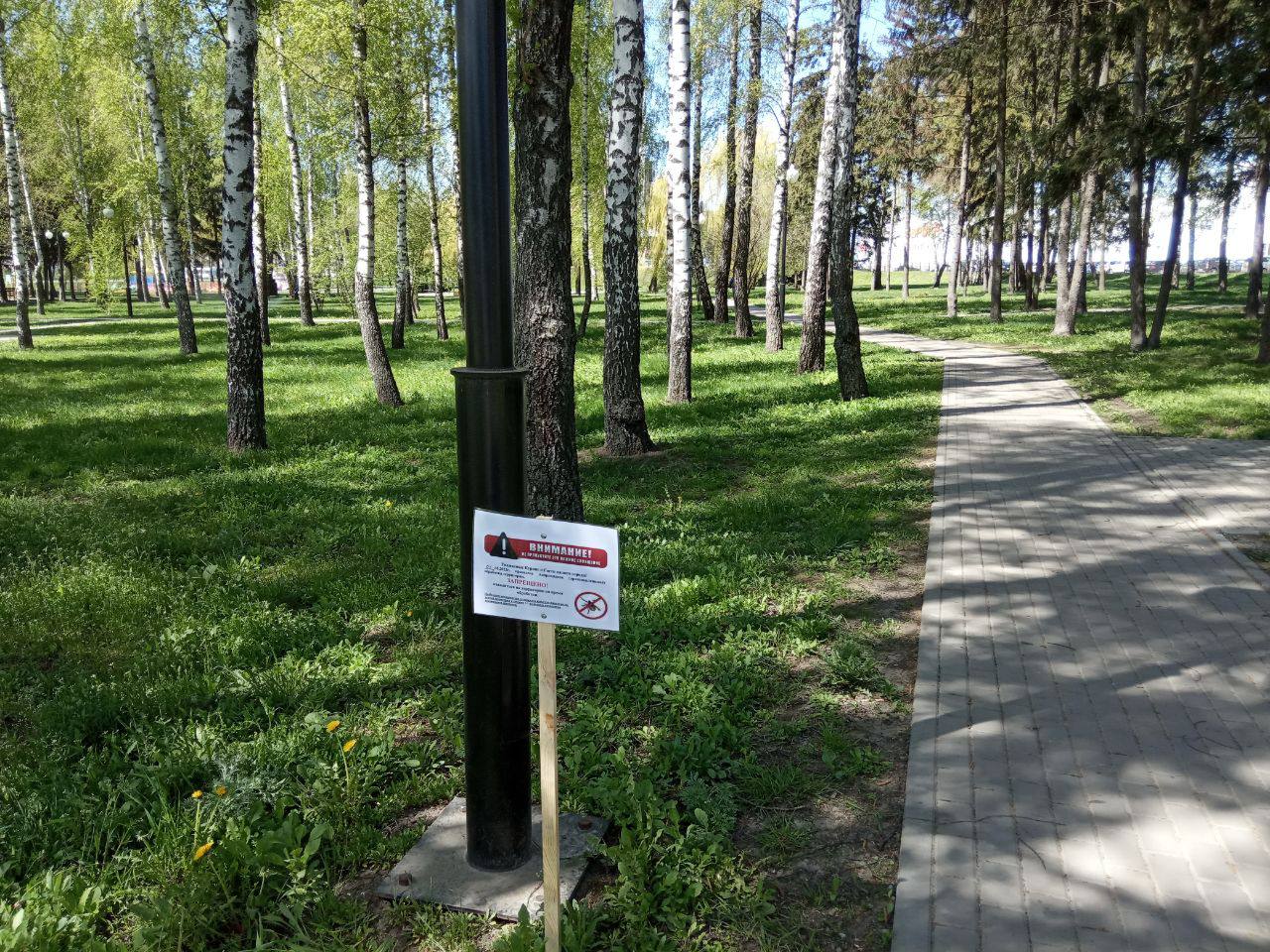 парки курска