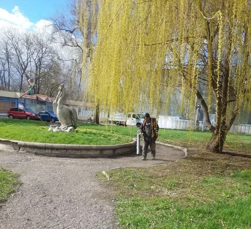 В Курске благоустроят скверы «Пеликан» и «Студенческий»