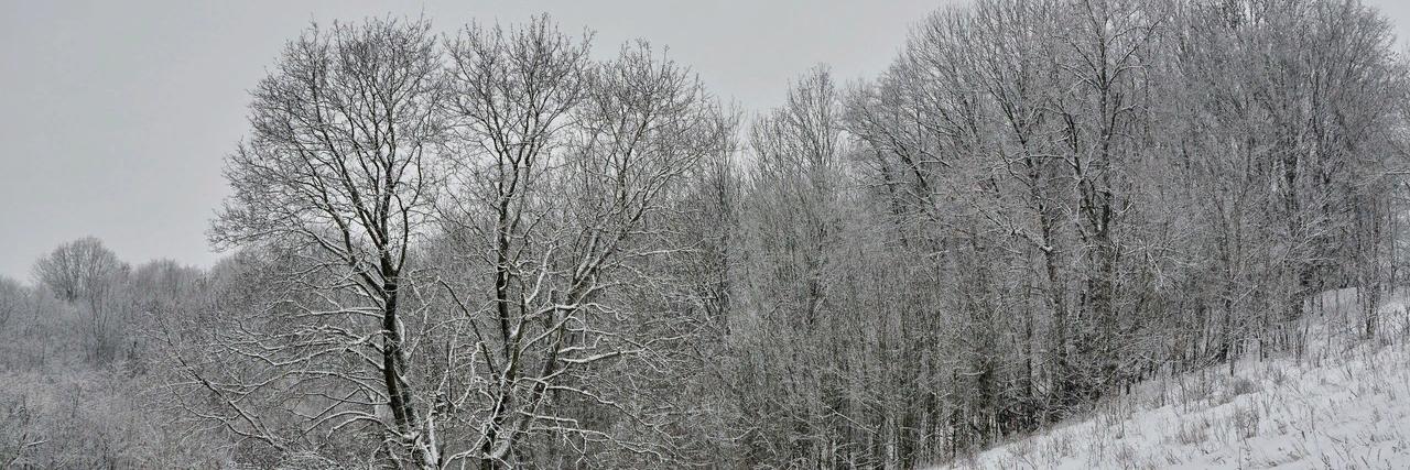 В Курске сегодня ожидается небольшой снег 