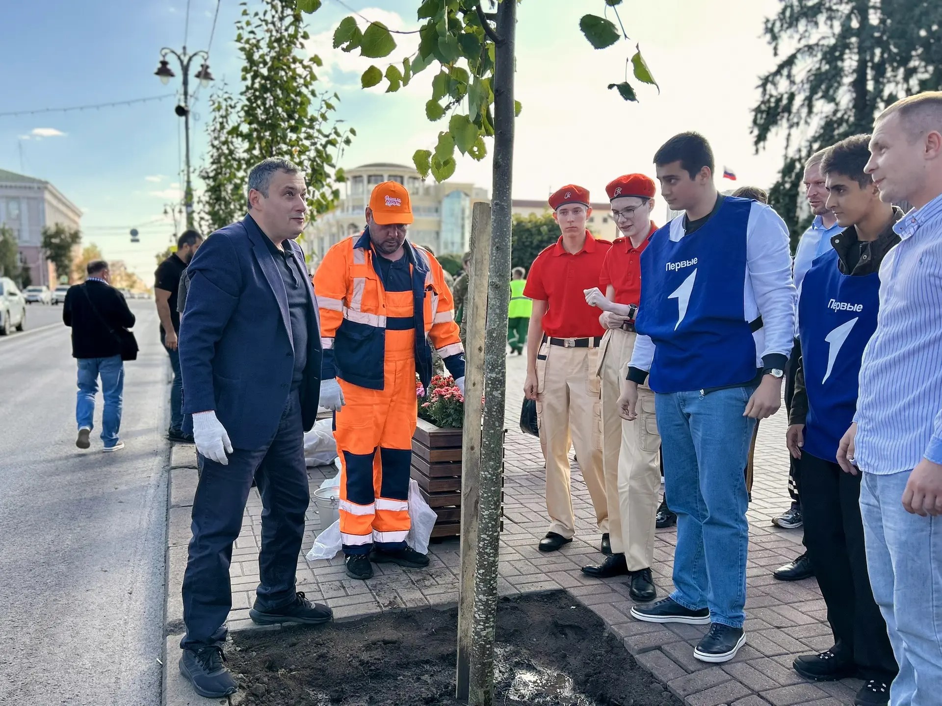 Главную улицу Курска украсили липами