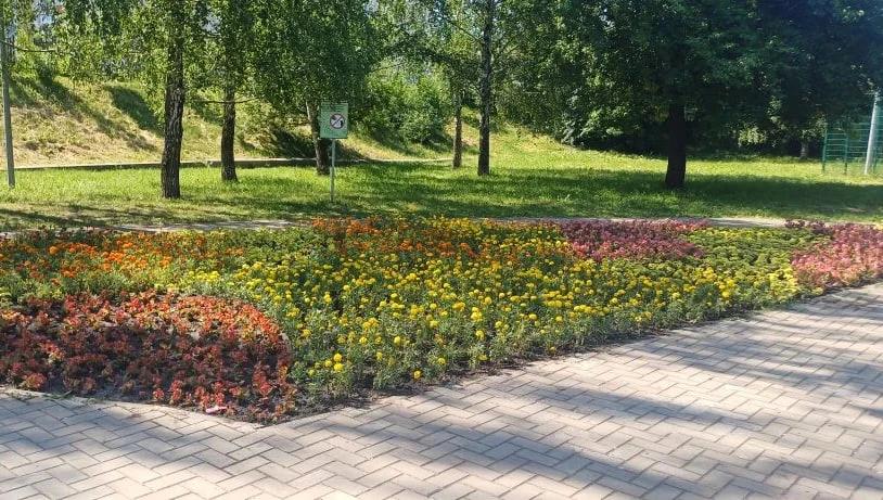 На Ермошкином озере в Курске высадили более 16 тысяч цветов