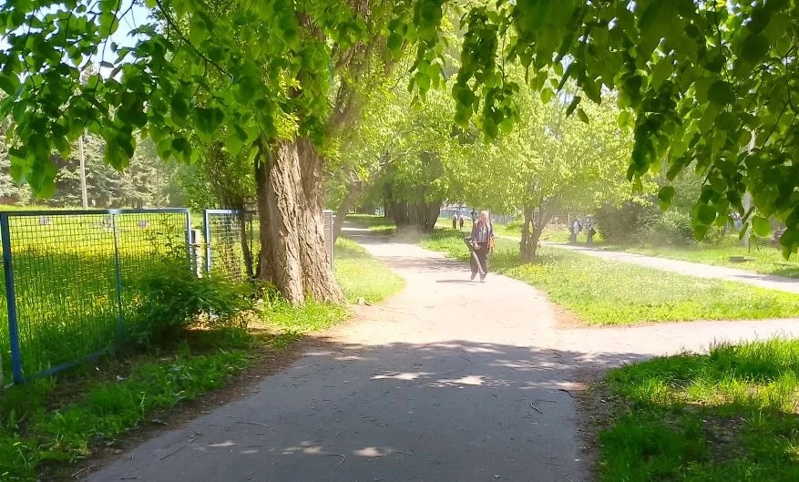 В Курске покосили более 22 га травы в общественных пространствах