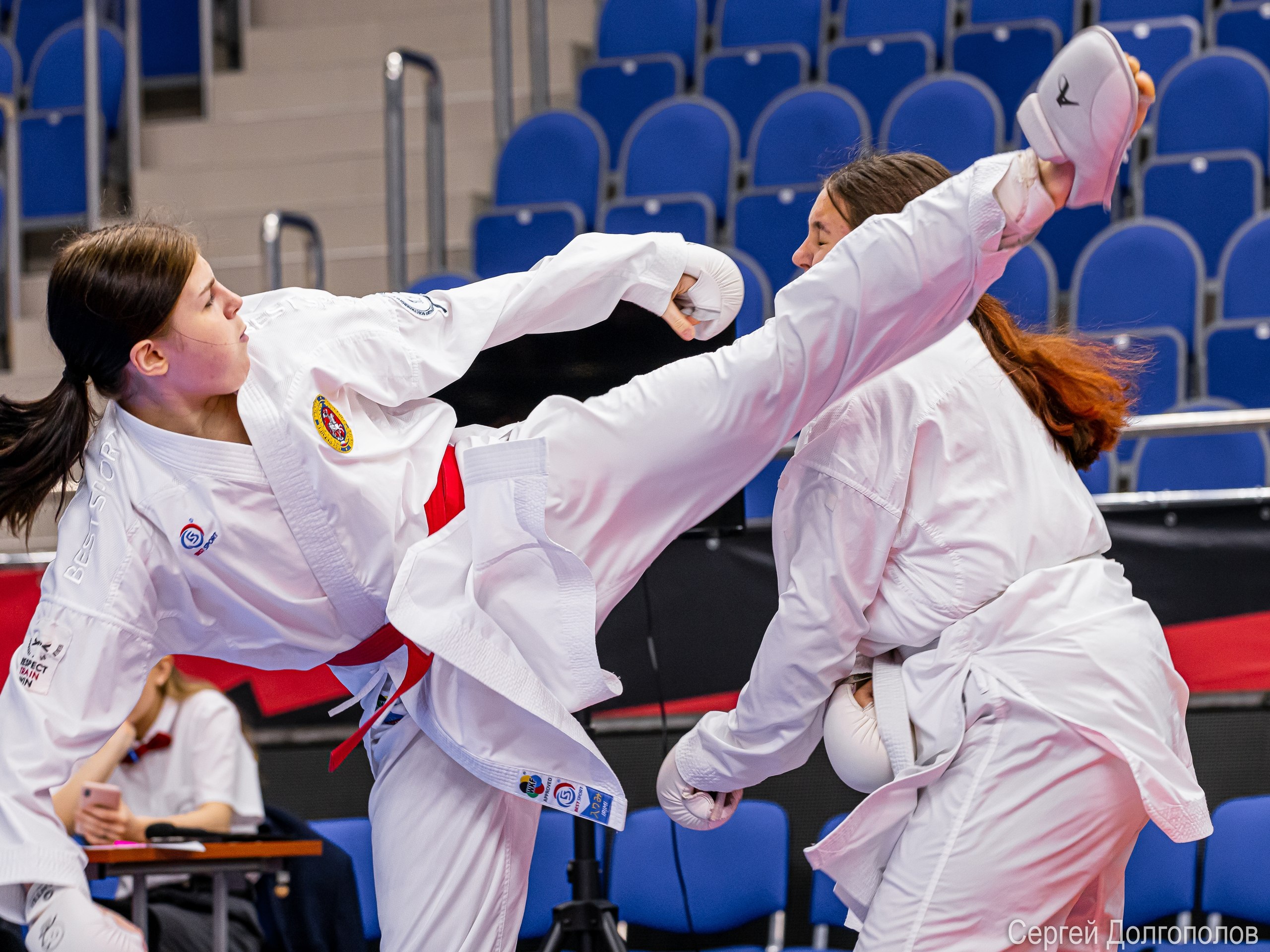 В Курске прошли чемпионат, первенство и фестиваль по всестилевому каратэ