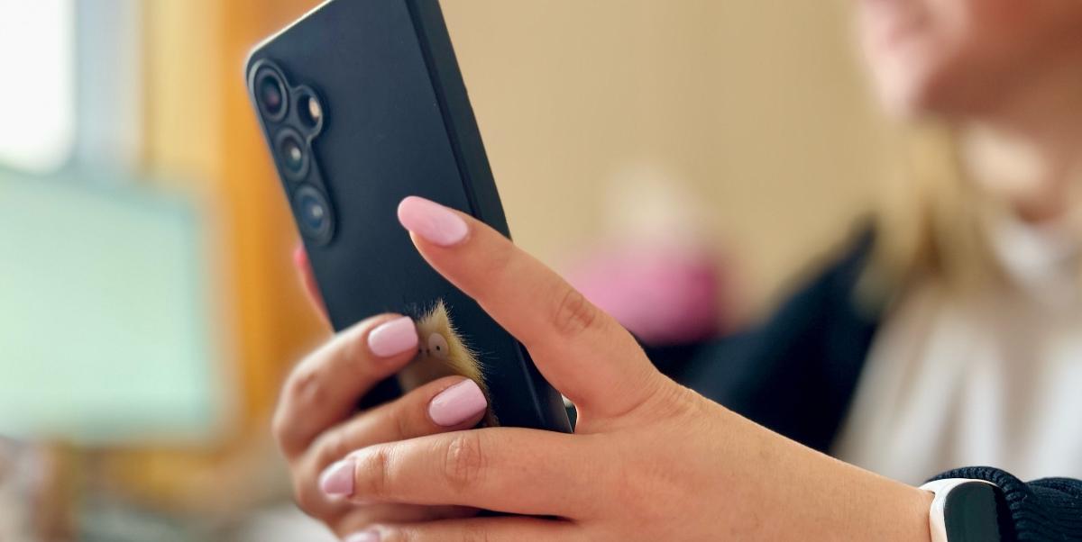 Серия краж из павильонов