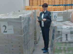 В Калининградскую область отправили 9 тонн курского сыра