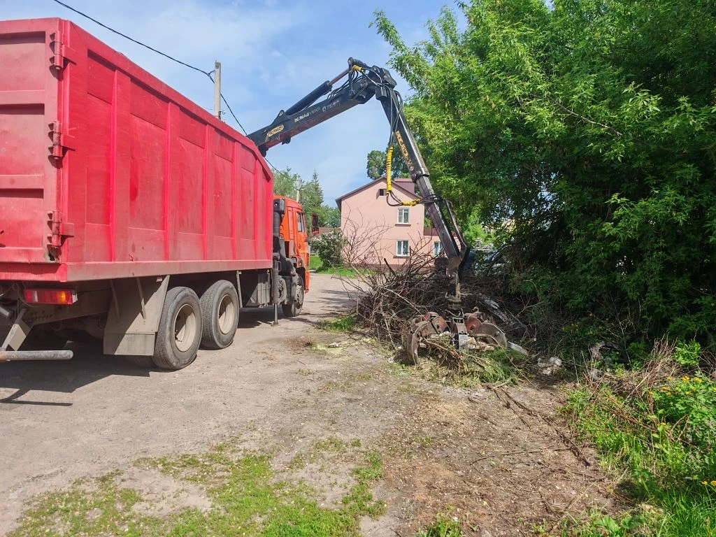 За 6 месяцев в Курске снесли 719 аварийных деревьев