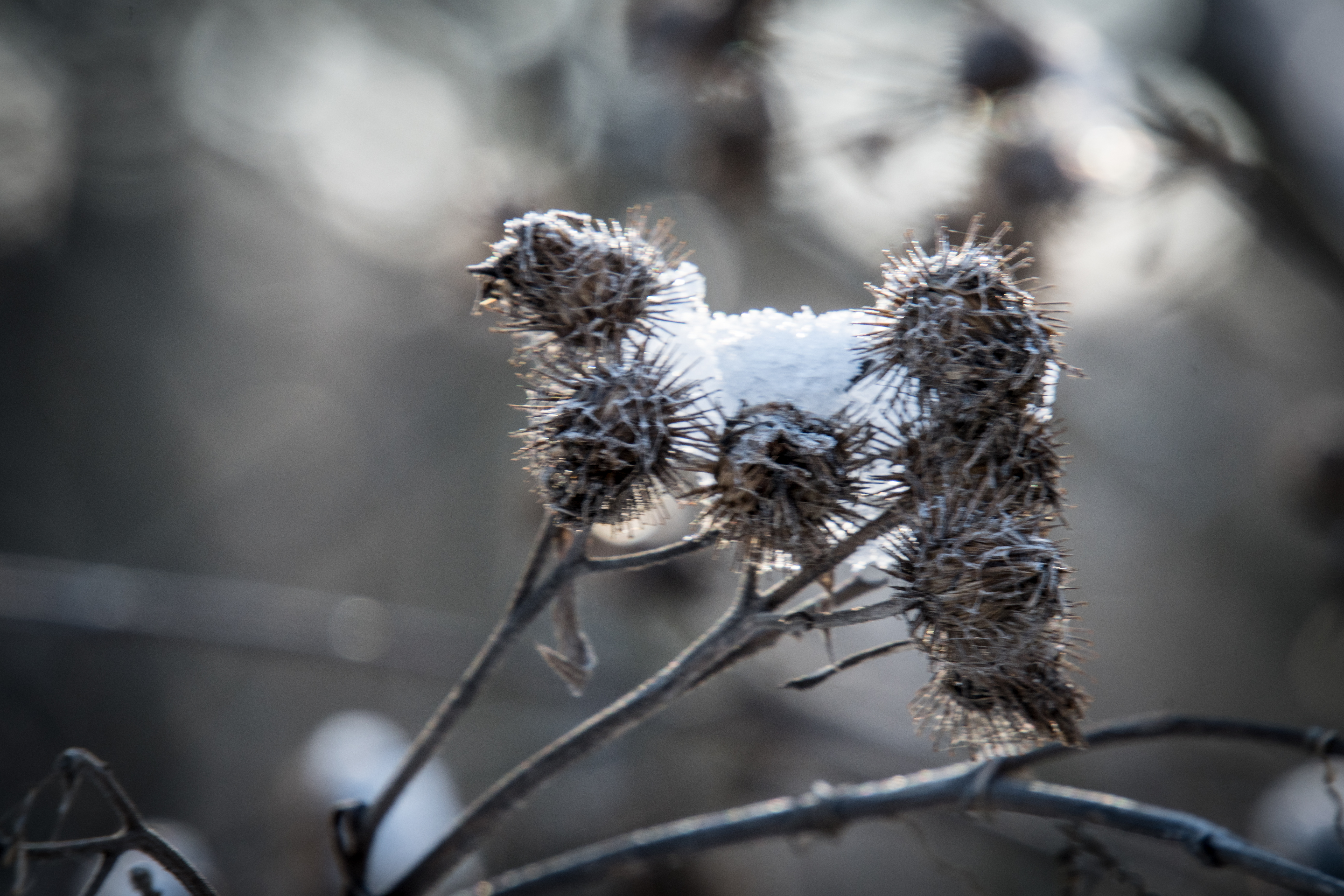 В Курскую область идёт волна сильных морозов