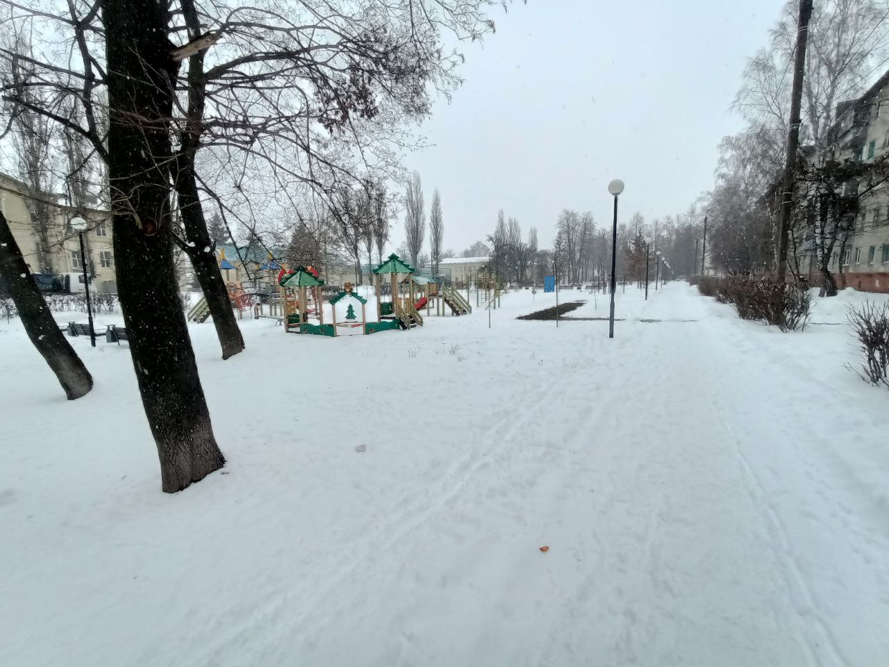 В Курске проверили качество содержания парков и скверов подрядчиком 