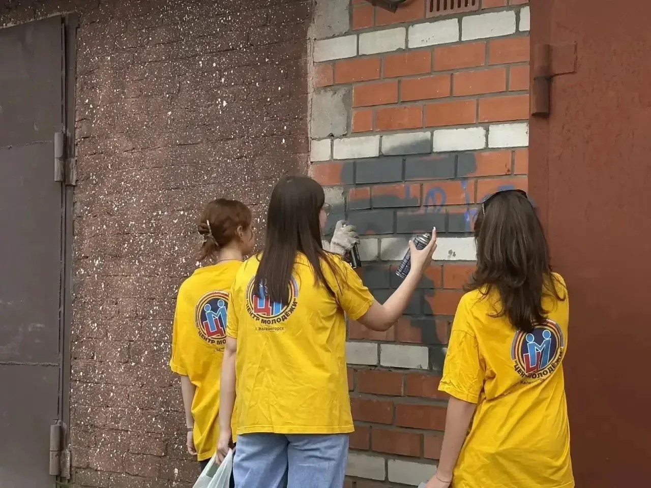 В Курской области в Железногорске провели акцию «Чистые стены»
