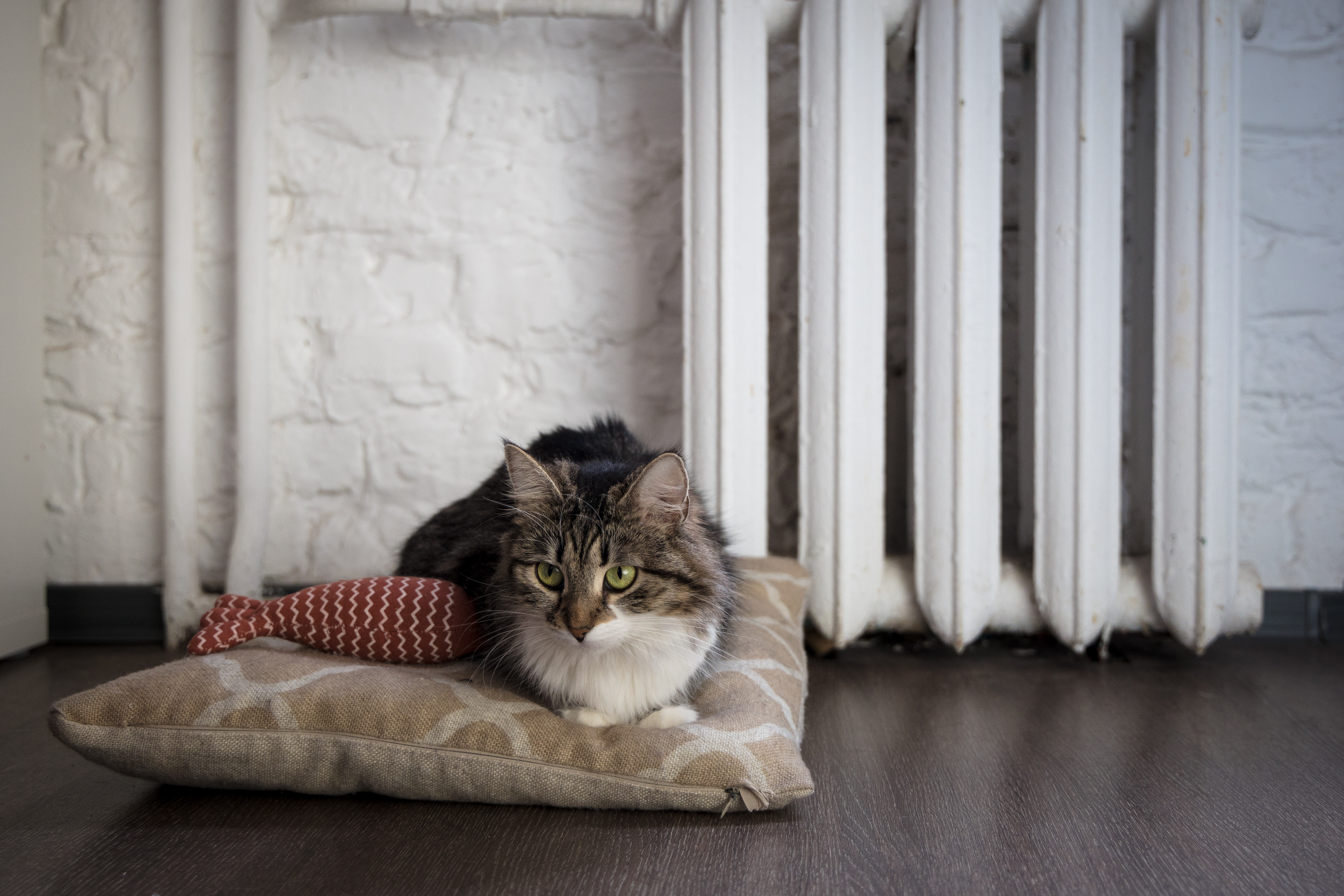 По просьбе курян не будут отключать отопление 23 апреля