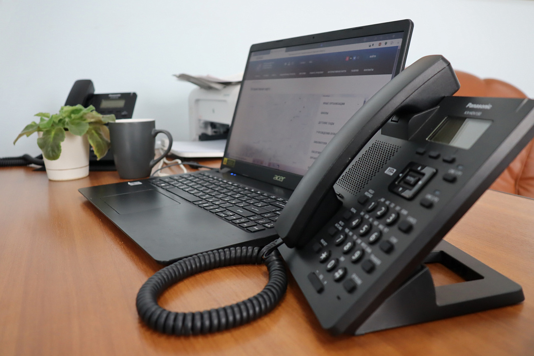 В Курской области заработает горячая линия по клещевым инфекциям