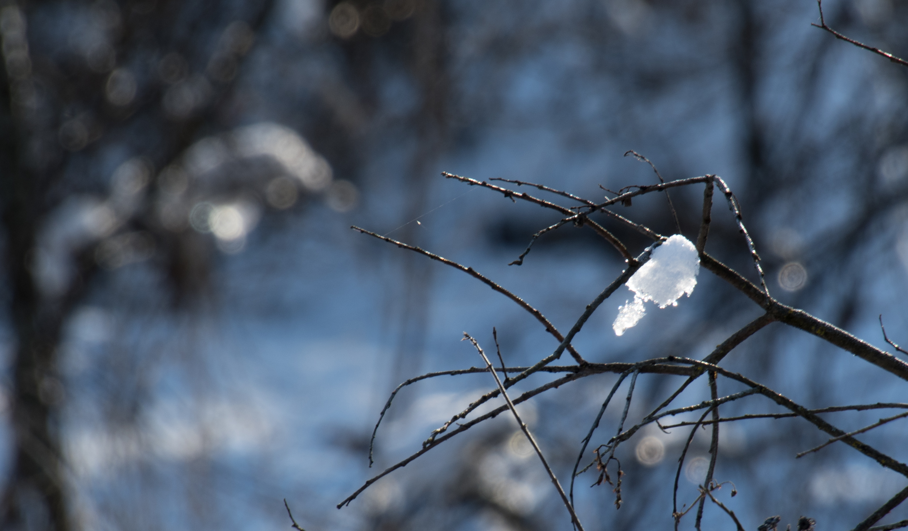 В Курскую область после оттепели вернутся морозы до -12 градусов