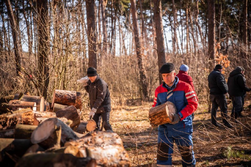 Курские волонтёры заготовят дрова для фронта