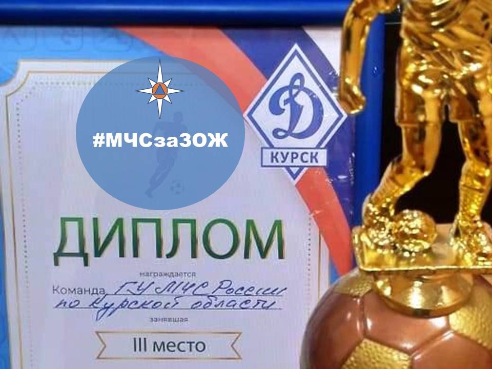 Курские спасатели заняли третье место в спартакиаде КРО «Динамо»