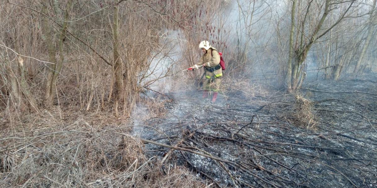 В Курской области 15 человек оштрафовали за нарушение пожарной безопасности
