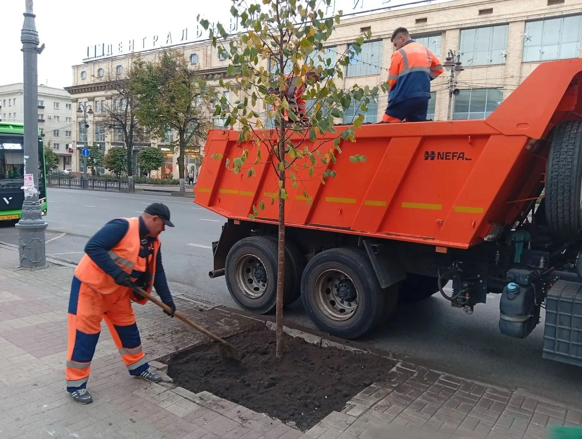 Главная улица в Курске станет еще зеленее