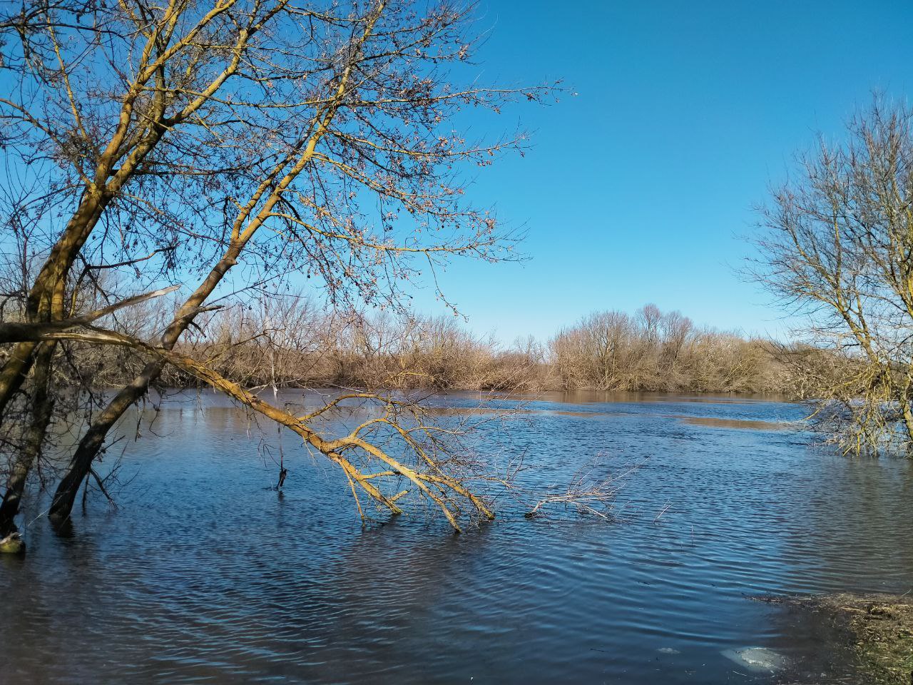 В Курской области готовятся к паводковому сезону