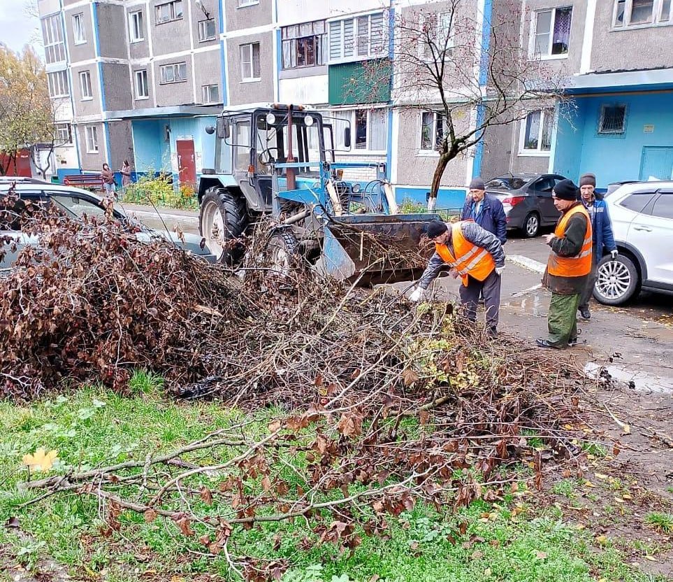 Эксперты проверили состояние более 60 дворов Курска