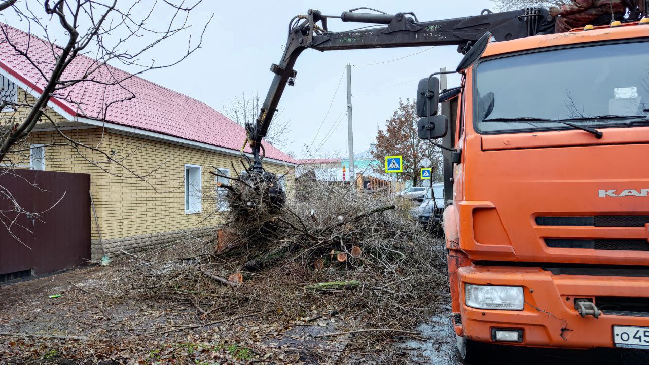 С улиц Курска продолжают убирать старые и сухие деревья 
