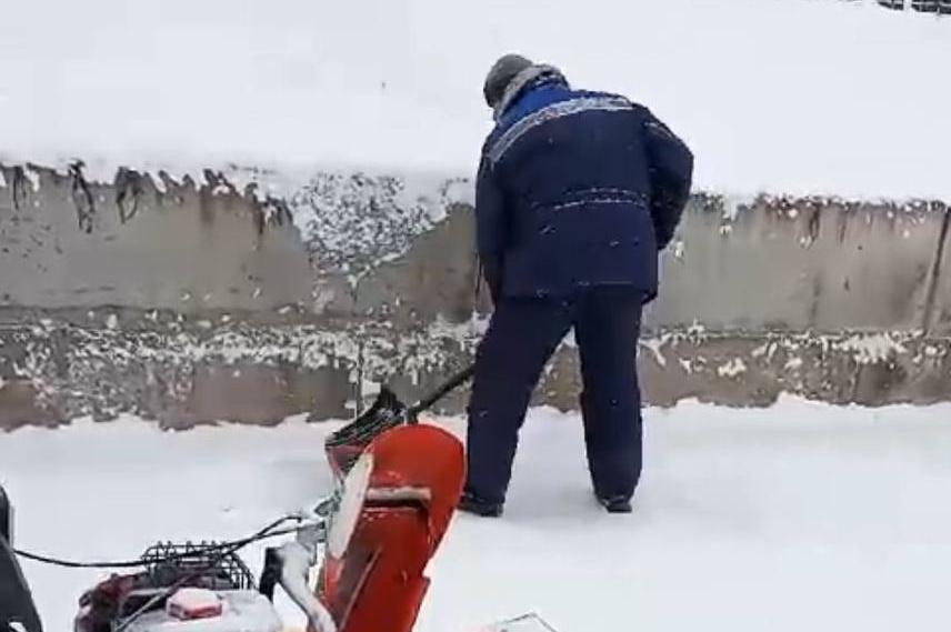 Опасные места. Схема безопасности во дворе. Задача во дворе гуляют куры и утки решение. Прочитай условие задачи. Во дворе гуляли куры и собаки.