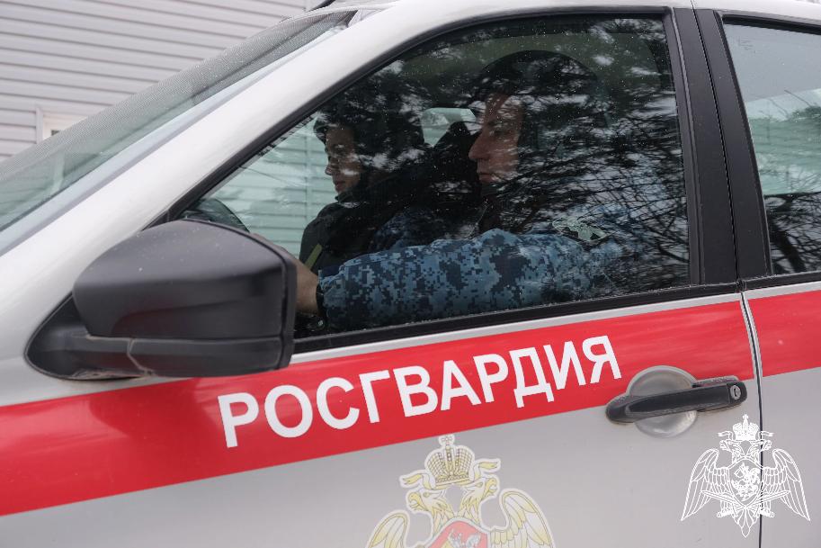 Сотрудники курской росгвардии с 30 января по 6 февраля  выезжали на тревожный сигнал 229 раз 