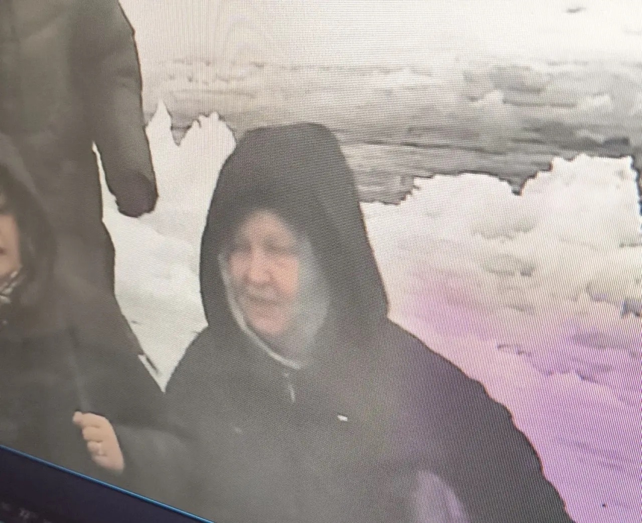 Курян просят помочь установить личность подозреваемой в краже