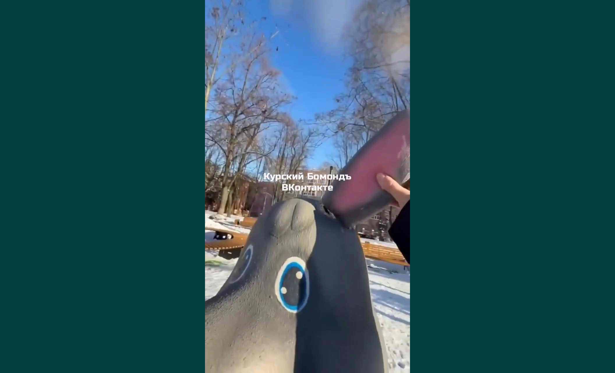 Неравнодушные юные куряне «подлатали» покалеченного в парке Пионеров зайца