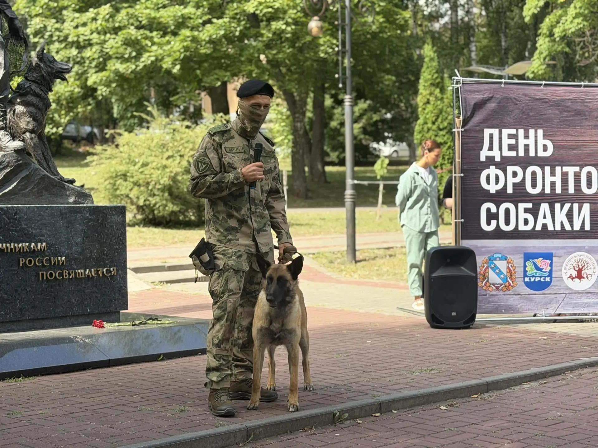 В Курске вспомнили подвиги фронтовых собак
