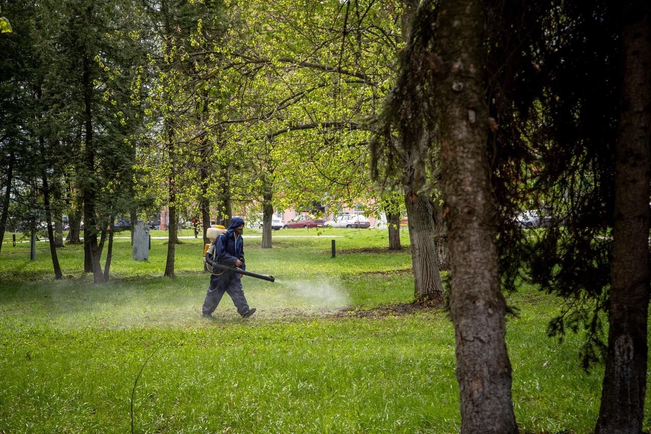  В Первомайском парке Курска обрабатывают территорию от клещей