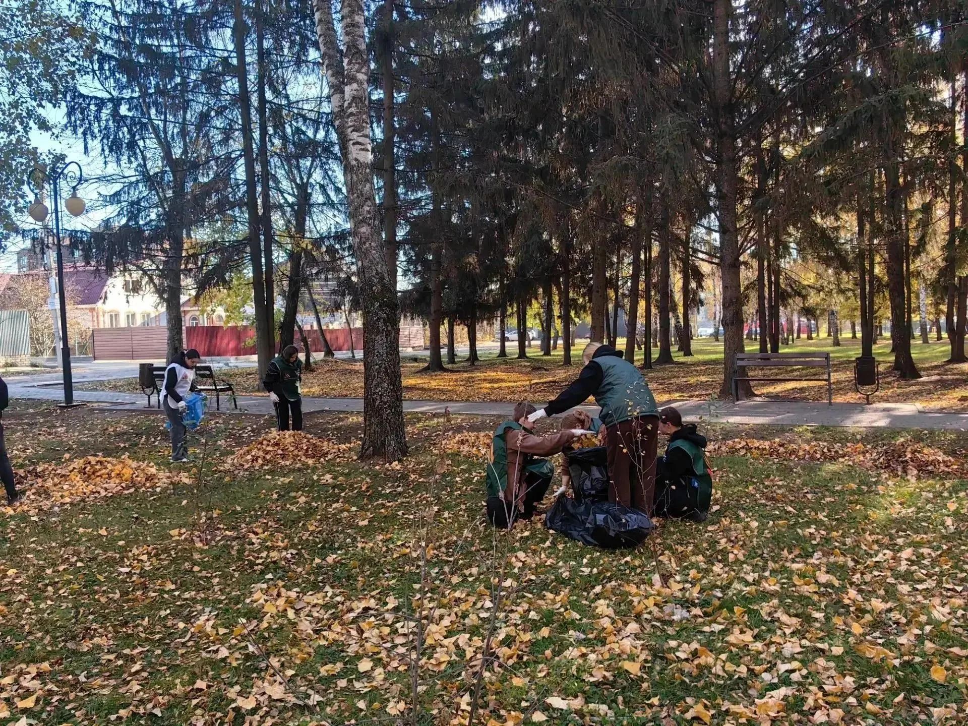 Куряне вышли на общегородской субботник