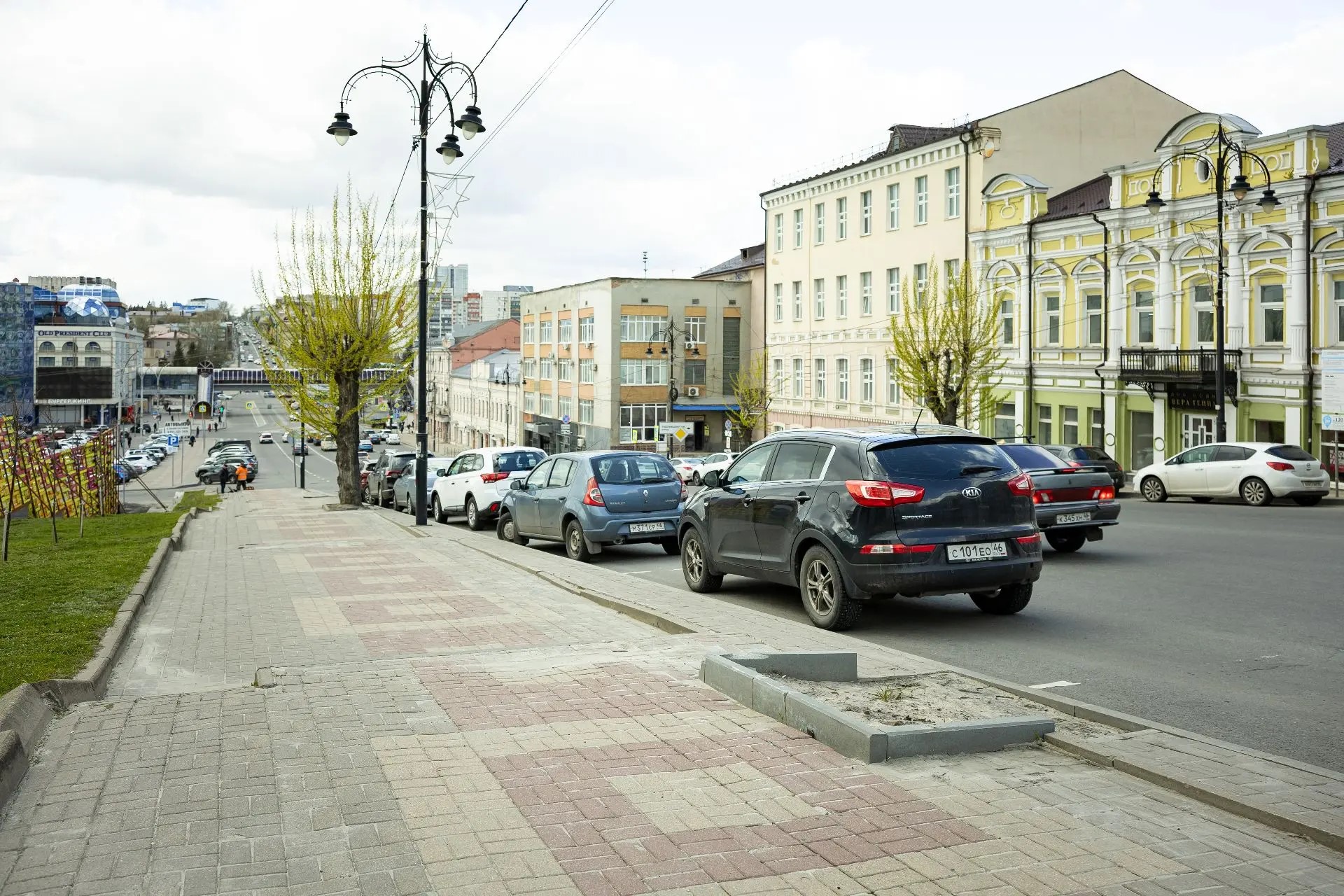 В Курске рядом с Полугорой высадят деревья 