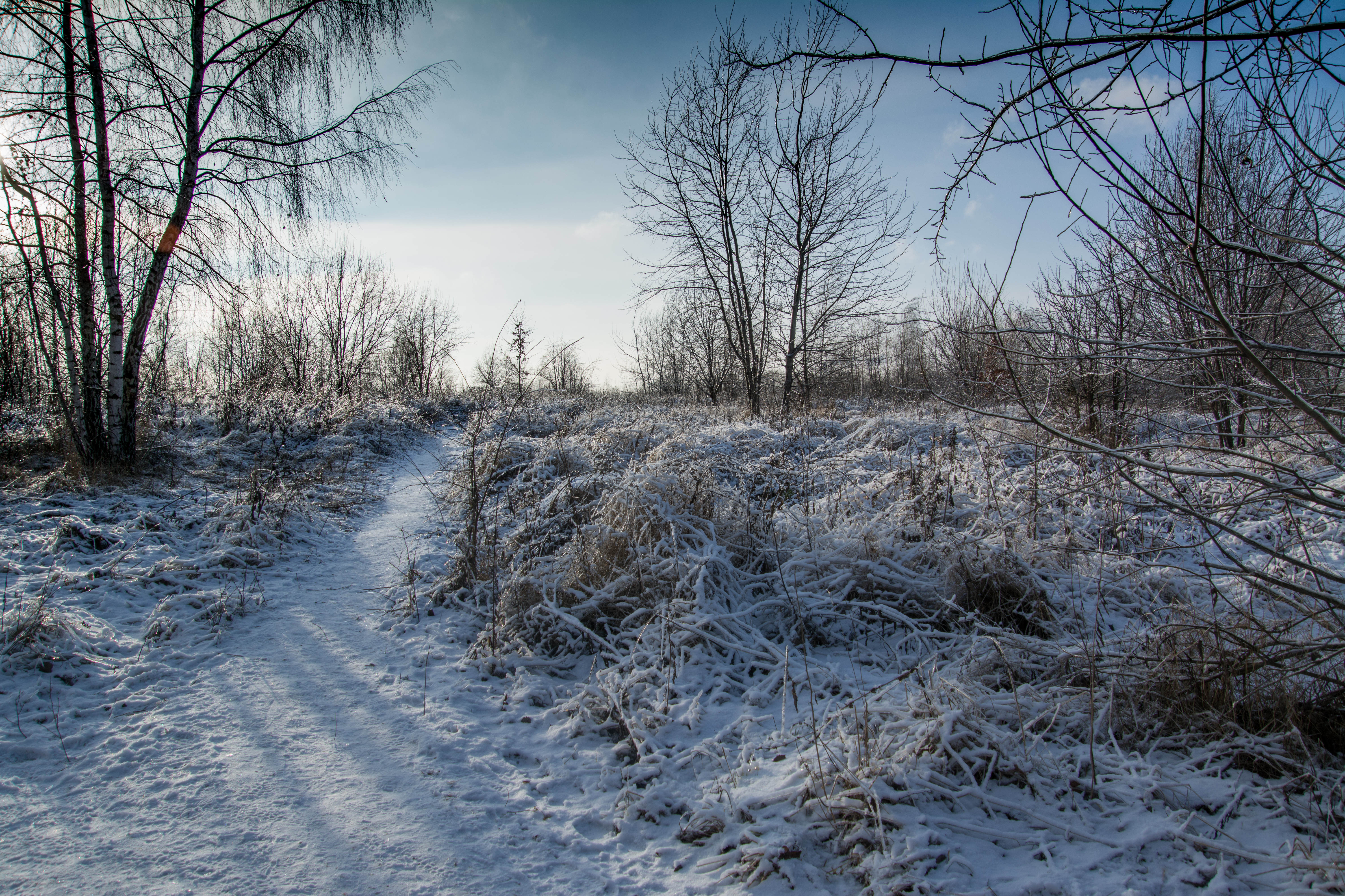 В Курской области за неделю провели 152 рейда по охране диких животных