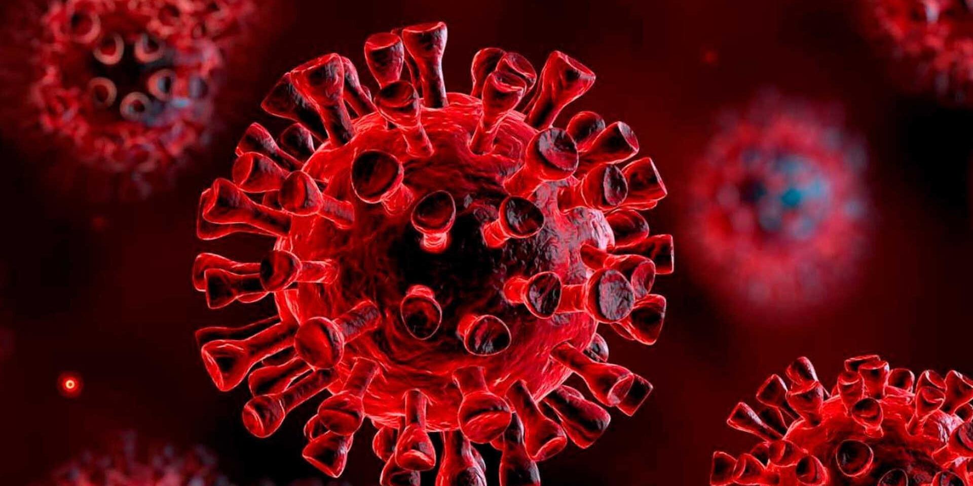 В Курске коронавирус подтвердился у 79 человек