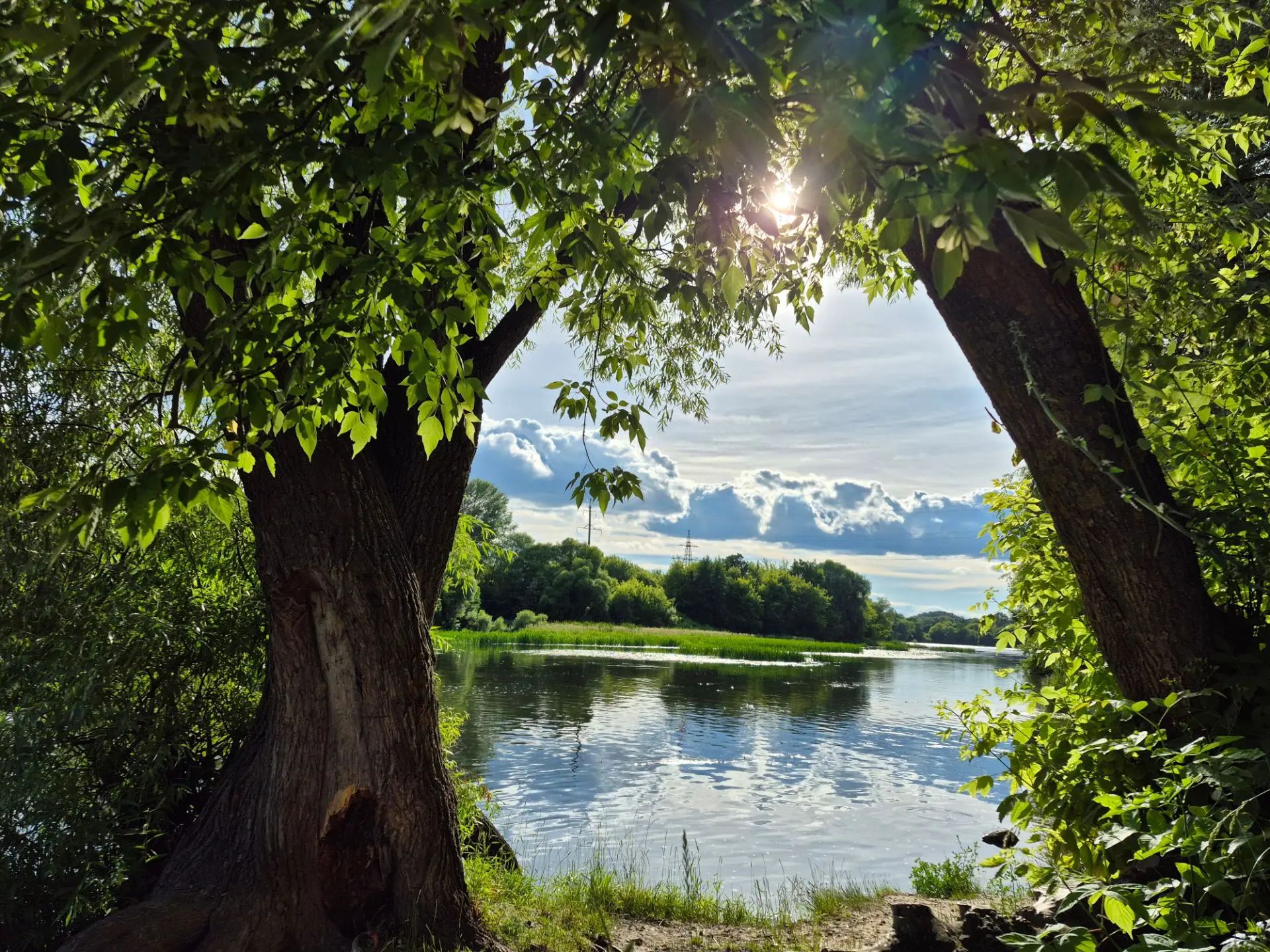 Курскую область накроют ливни 