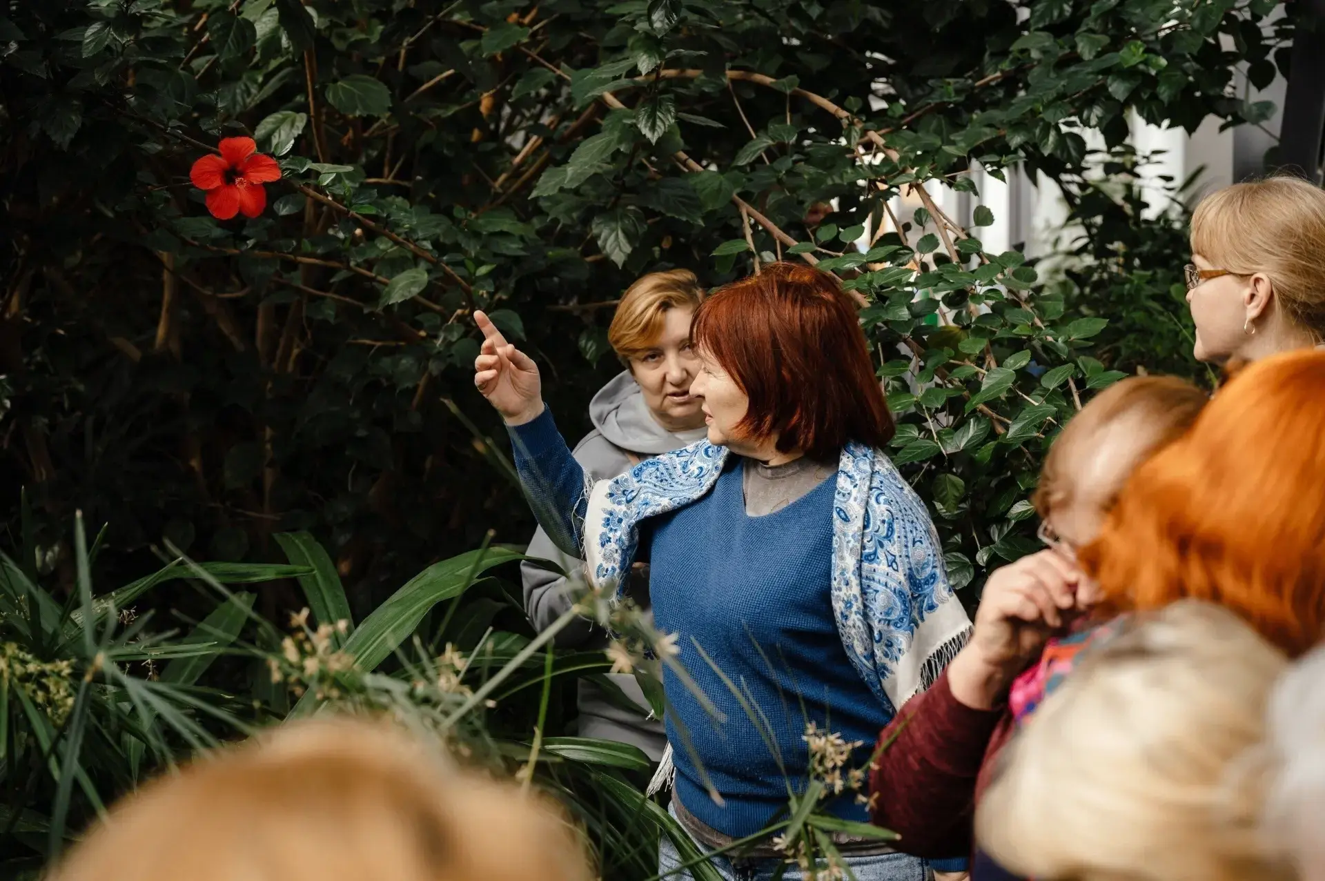 Для курских пенсионеров провели мастер-класс в оранжерее аграрного университета