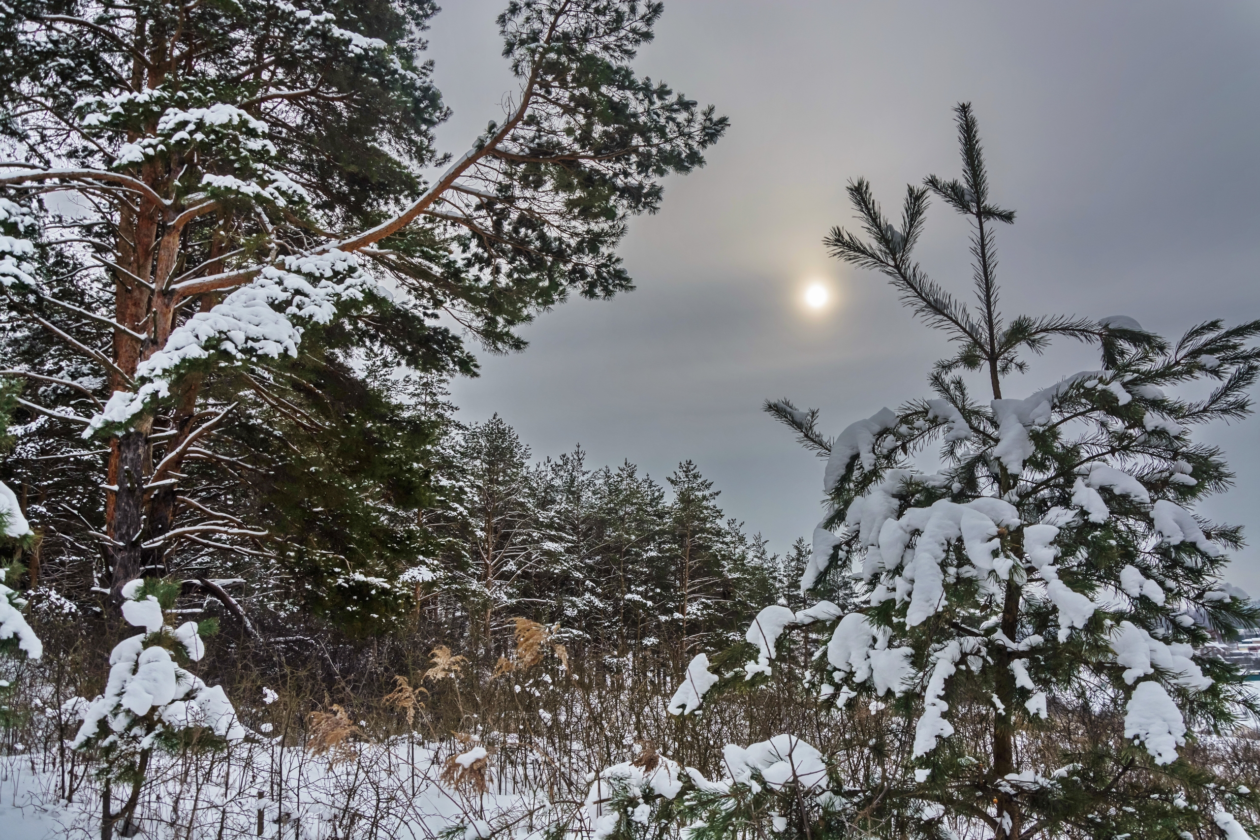 Вечером 11 февраля в Курске потеплеет до –7 градусов