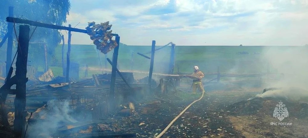 Сено и сарай курянина сгорели по предварительной оценке из-за поджога