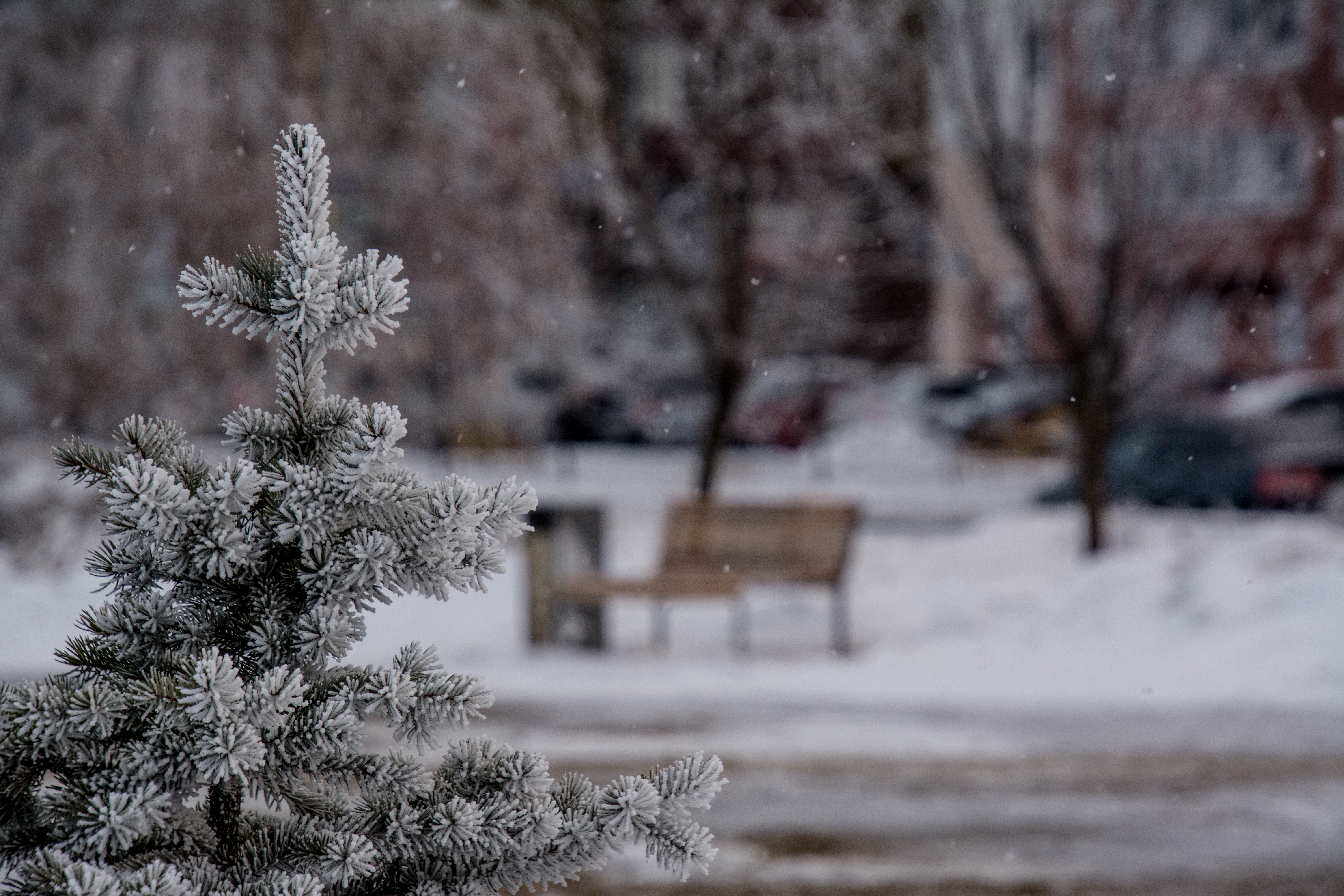 В Курской области 2 января ожидаются метель, сильный ветер до 18 м/с и снежные заносы на дорогах