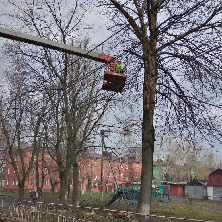 В Курске опиливают аварийные деревья