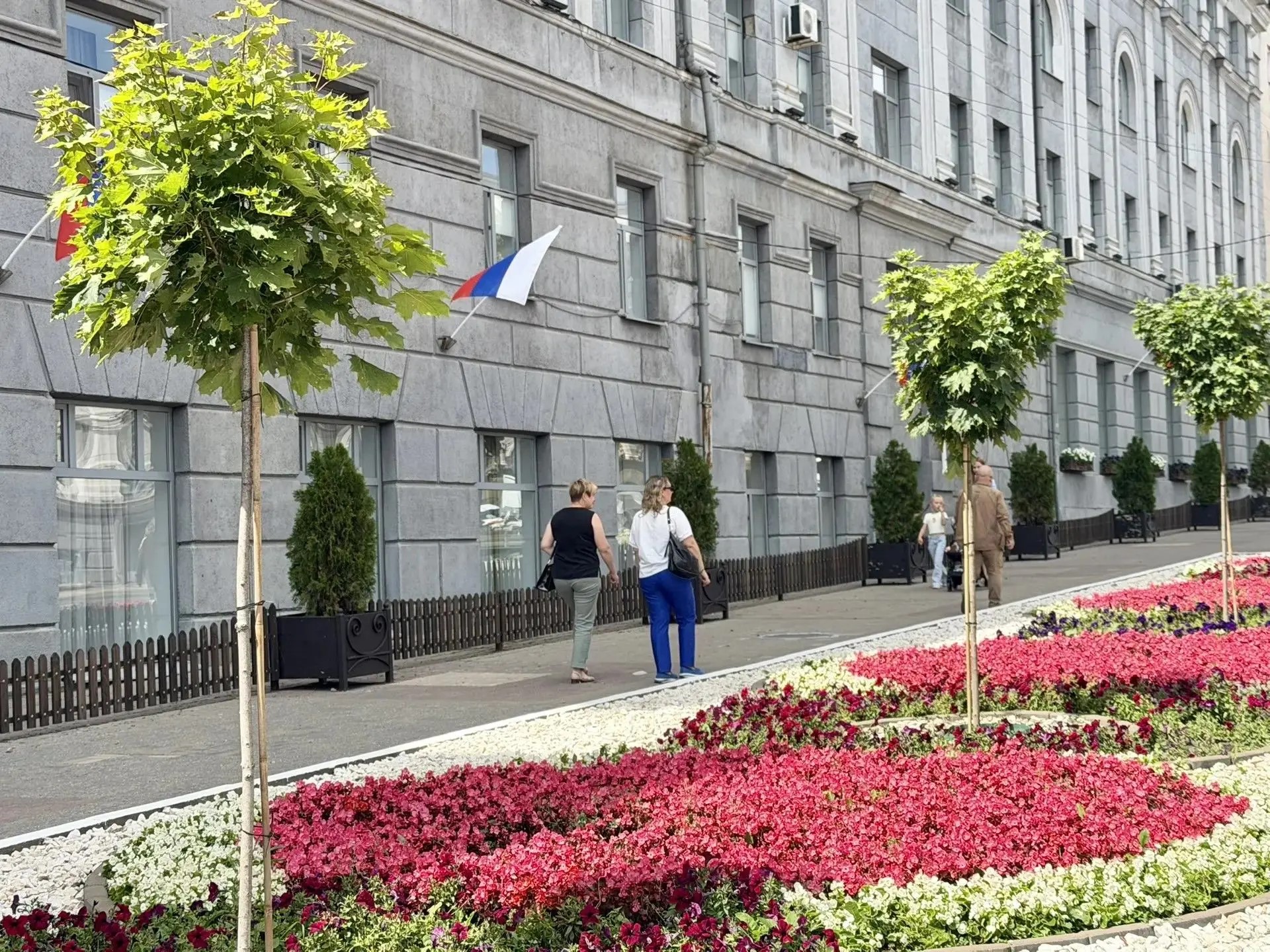 В Курске на улице Ленина появятся 14 кленов на штамбе
