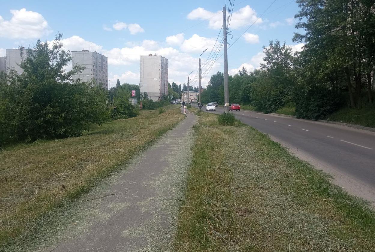 В Курской области за плохое содержание территорий усилят административную ответственность