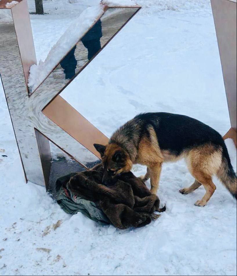 В Курске нашли забытые вещи на Театральной площади