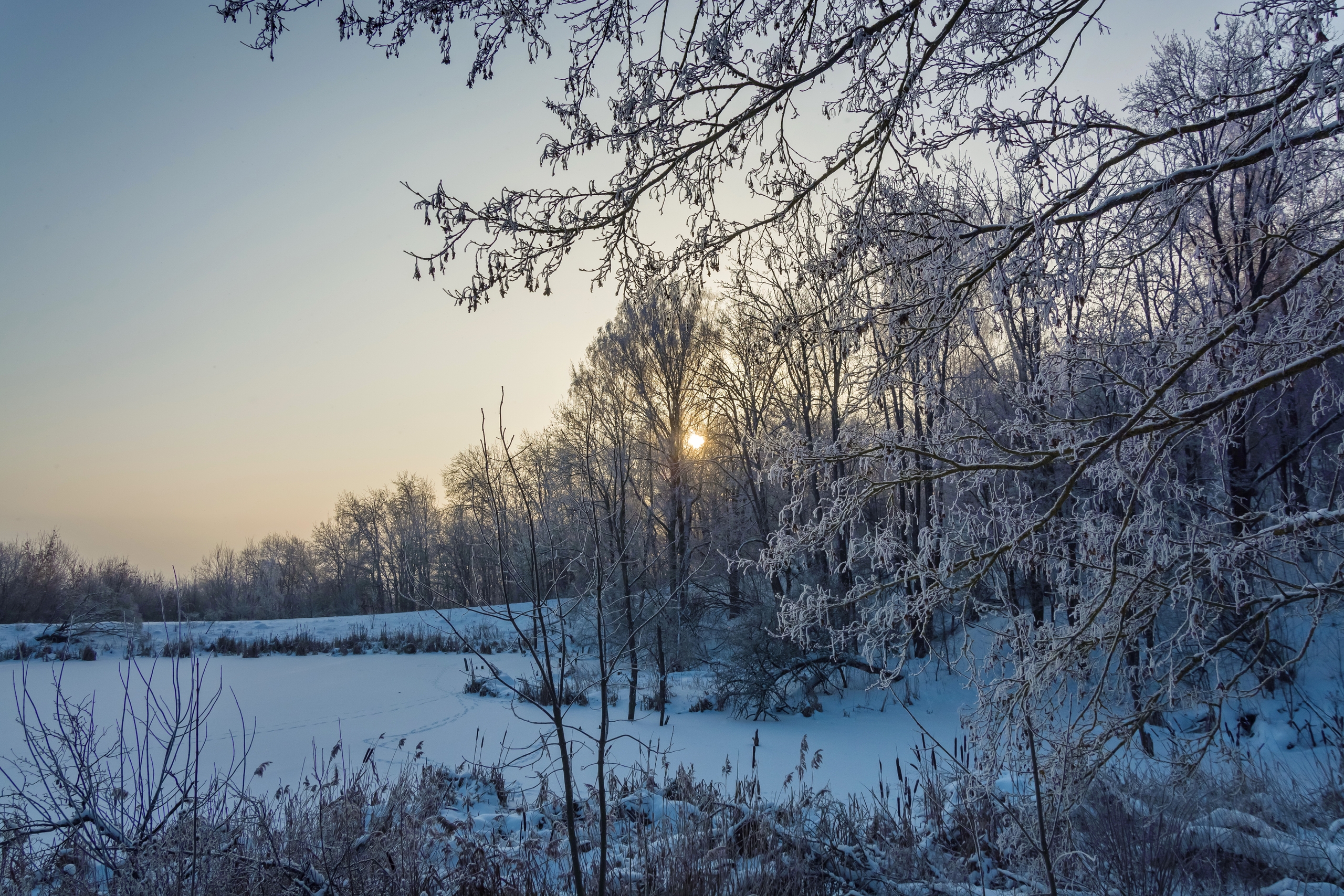 В Курске  17 января будет переменная облачность