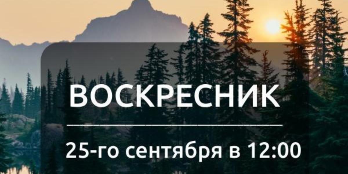 Курские экоактивисты проведут воскресник в Поповском лесу