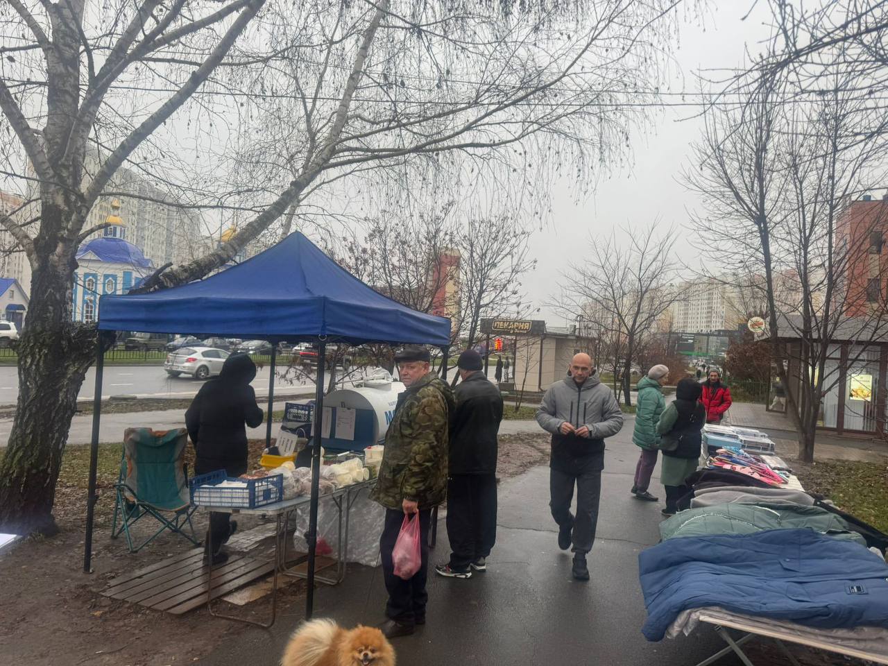 По шести улицам Курска специалисты проверили незаконную торговлю