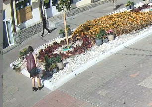 В Курске на улице Ленина испортили клумбы и фотозону с книгой