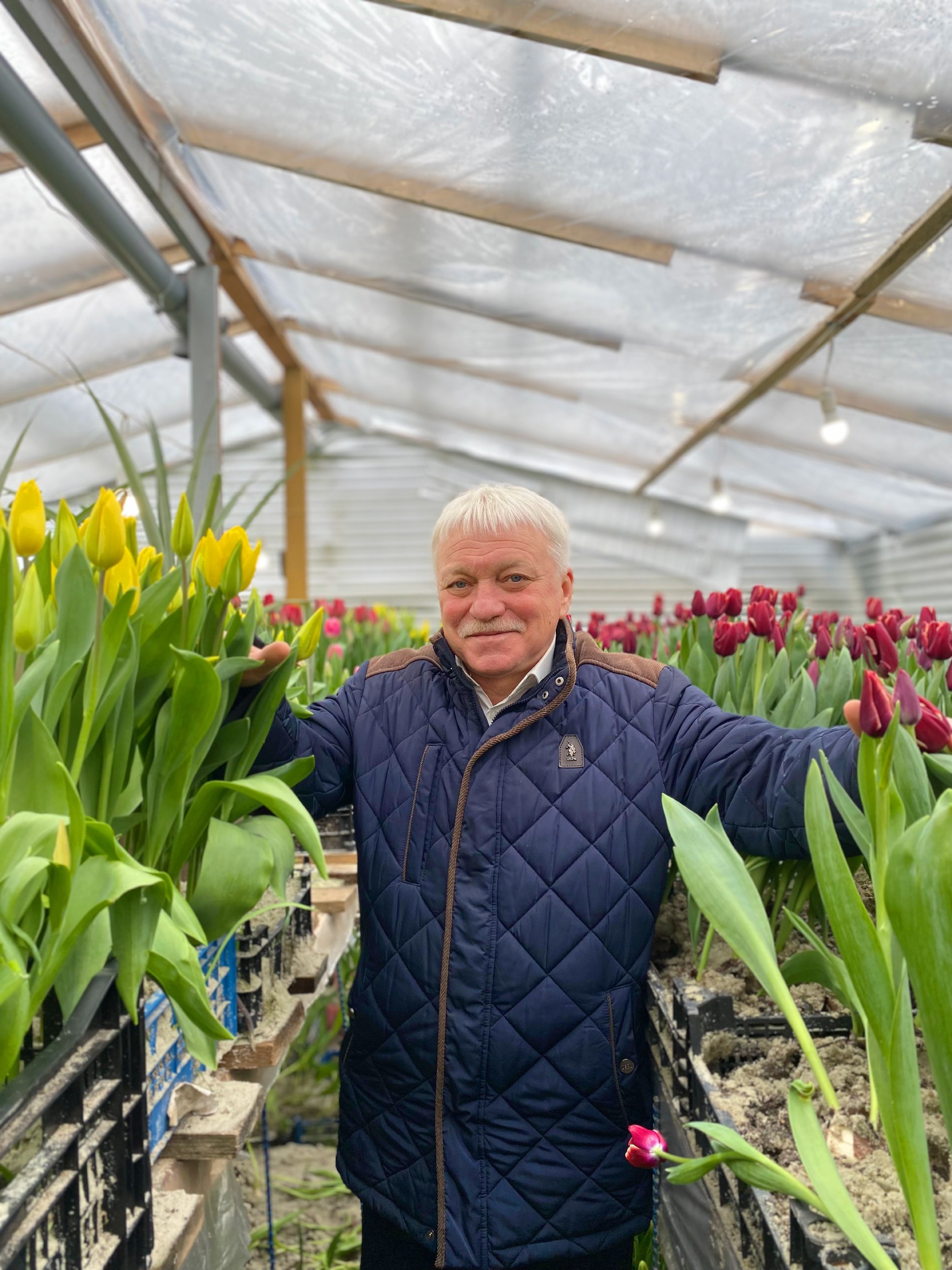 Под Курском супруги Шишонковы высадили и вырастили 35 тысяч тюльпанов в этом сезоне