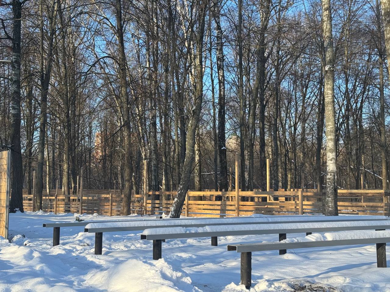 В Курске обсудили проект парка альпак «Пача мама»